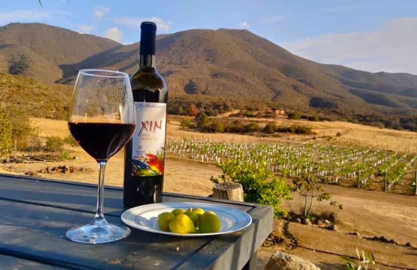 Ensenada - Valle de Guadalupe